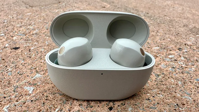Sony WF-1000XM5 earbuds showing compact design and matte finish
